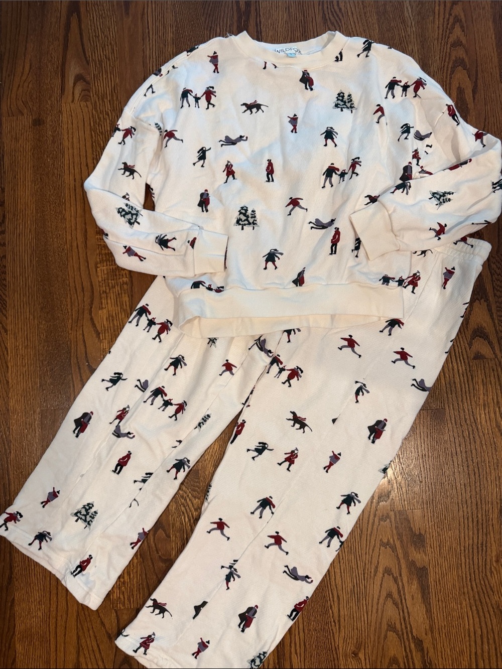 Wildfox cream colored winter-themed sweatshirt and pants